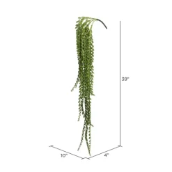 Senecio Bush-Kirkland's Home Online