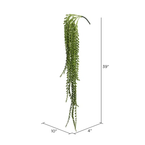 Senecio Bush-Kirkland's Home Online
