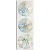 Shell Panel Ii Giclee Canvas Art Print-Kirkland's Home Best Sale