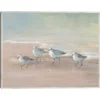 Shorebirds On The Sand Framed Canvas Art Print-Kirkland's Home Clearance
