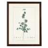Sida Greenery Black Beaded Framed Art Print-Kirkland's Home Sale