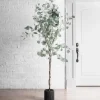 Silver Dollar Eucalyptus Tree In Brown Planter-Kirkland's Home Clearance