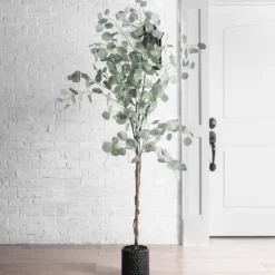 Silver Dollar Eucalyptus Tree In Brown Planter-Kirkland's Home Clearance