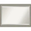 Silver Patina Scallop Framed Mirror, 41.5X29.5 In.-Kirkland's Home Store