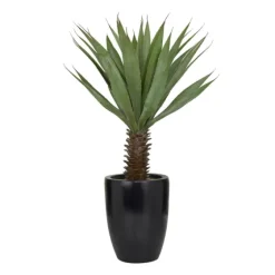 Sisal Palmtree In Sleek Black Planter-Kirkland's Home Fashion