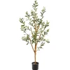 Slender Olive Branch Tree In Nursery Planter-Kirkland's Home Cheap