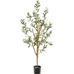 Slender Olive Branch Tree In Nursery Planter-Kirkland's Home Cheap