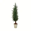 Small Cedar Tree In Mossy White Planter, 36 In.-Kirkland's Home Online