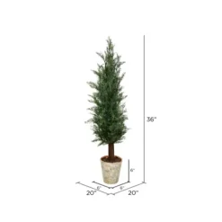 Small Cedar Tree In Mossy White Planter, 36 In.-Kirkland's Home Online