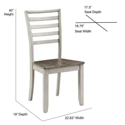 Smoked Honey And Alabaster Dining Chairs, Set Of 2-Kirkland's Home New