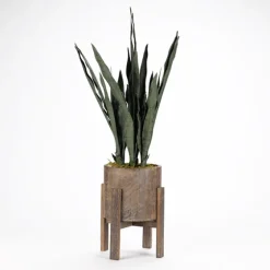 Snake Plant In Round Wooden Planter Stand, 36 In.-Kirkland's Home Sale