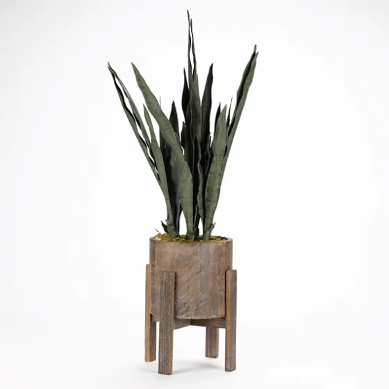 Snake Plant In Round Wooden Planter Stand, 36 In.-Kirkland's Home Sale
