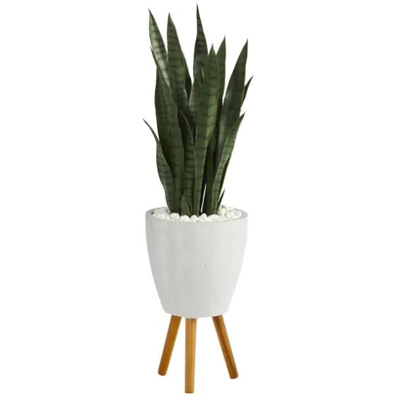Snake Plant In White Tri-Pod Planter-Kirkland's Home Discount