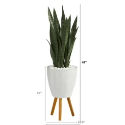 Snake Plant In White Tri-Pod Planter-Kirkland's Home Discount