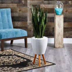 Snake Plant In White Tri-Pod Planter-Kirkland's Home Discount