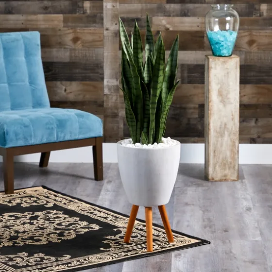 Snake Plant In White Tri-Pod Planter-Kirkland's Home Discount