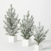 Snowy Pine White Potted Christmas Trees, Set Of 3-Kirkland's Home Best