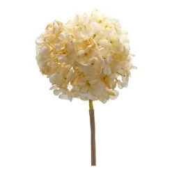 Soft Cream Hydrangea Stems, Set Of 6-Kirkland's Home Online