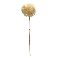 Soft Cream Hydrangea Stems, Set Of 6-Kirkland's Home Online