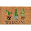 Southwestern Cactus Coir Doormat-Kirkland's Home Online
