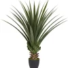 Spiked Agave Plant In Nursery Planter-Kirkland's Home Outlet