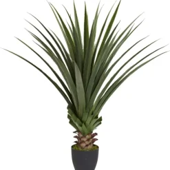 Spiked Agave Plant In Nursery Planter-Kirkland's Home Outlet