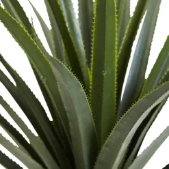 Spiked Agave Plant In Nursery Planter-Kirkland's Home Outlet