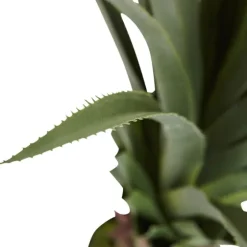Spiked Agave Plant In Nursery Planter-Kirkland's Home Outlet