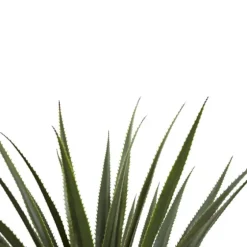 Spiked Agave Plant In Nursery Planter-Kirkland's Home Outlet