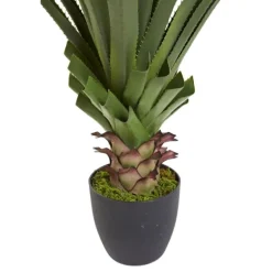 Spiked Agave Plant In Nursery Planter-Kirkland's Home Outlet