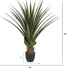 Spiked Agave Plant In Nursery Planter-Kirkland's Home Outlet