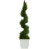 Spiral Cypress Topiary In White Planter, 48 In.-Kirkland's Home Hot