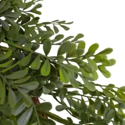 Spiral Mixed Boxwood Wreath-Kirkland's Home Shop
