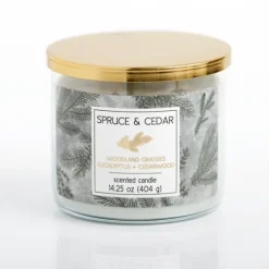 Spruce And Cedar Triple Wick Jar Candle-Kirkland's Home Store