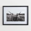 Stoic Steer Framed Art Print-Kirkland's Home New