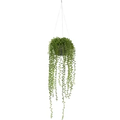 String Of Pearl Plant In Hanging Planter-Kirkland's Home Hot