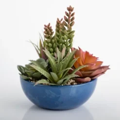 Succulent Arrangement In Glazed Blue Bowl-Kirkland's Home Hot