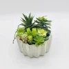 Succulent Arrangement In Zig-Zag Gray Planter-Kirkland's Home Cheap