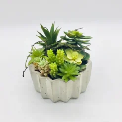 Succulent Arrangement In Zig-Zag Gray Planter-Kirkland's Home Cheap