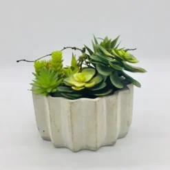 Succulent Arrangement In Zig-Zag Gray Planter-Kirkland's Home Cheap
