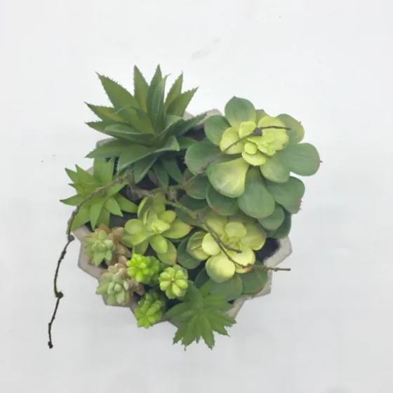 Succulent Arrangement In Zig-Zag Gray Planter-Kirkland's Home Cheap