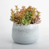 Succulent Arrangement In Blue Stone Planter-Kirkland's Home Best Sale