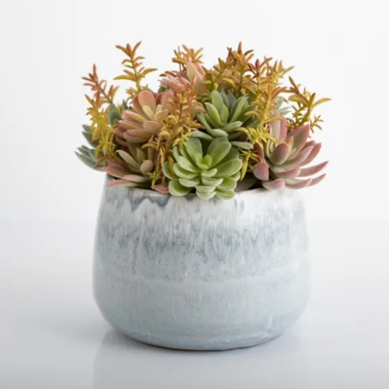 Succulent Arrangement In Blue Stone Planter-Kirkland's Home Best Sale