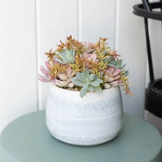 Succulent Arrangement In Blue Stone Planter-Kirkland's Home Best Sale