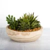 Succulent Arrangement In Natural Wood Bowl-Kirkland's Home Discount