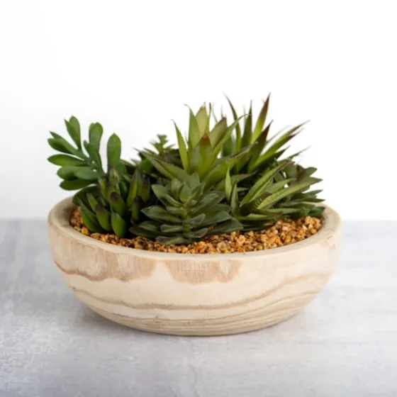 Succulent Arrangement In Natural Wood Bowl-Kirkland's Home Discount