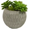 Succulent Arrangement In Round Cement Planter-Kirkland's Home Outlet