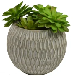 Succulent Arrangement In Round Cement Planter-Kirkland's Home Outlet