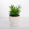 Succulent In Ribbed White Planter-Kirkland's Home Outlet