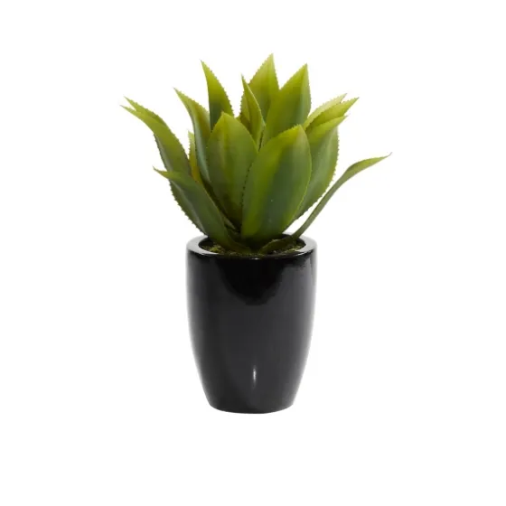 Succulent In Sleek Black Planter-Kirkland's Home Shop